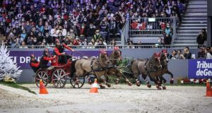 Swiss breeding firmly under the spotlight at CHI Geneva