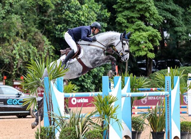 Brazilian Sport Horse Festival: The greatest of all time... - Breeding ...