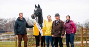 Hanoverian mare of the year: Prototype of a showjumper