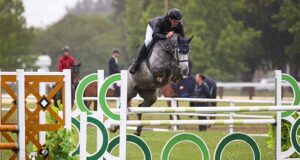 Double triumph for Double J Stud at NZ Young Horse Show