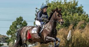 Exceptional performance certificates for NZ Hanoverians