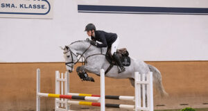 Holsteiner ‘Winter Chance’ auction goes online