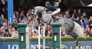 Digging deep to produce the next top Irish Sport Horses