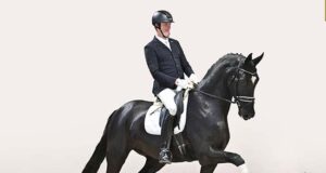 A truly international year-end Oldenburg Auction Festival