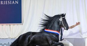 Youth and agility win: Herre 524 overall KFPS champion 2022