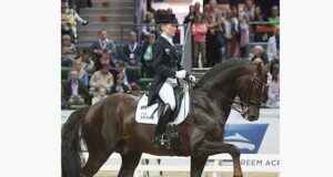 Sandro Hit ominously absent from German FN dressage BVI