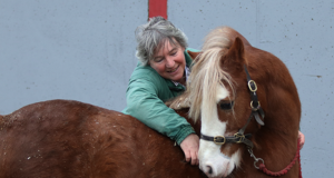 Stallions: An inspiring two-way love affair for Gladys McArdle