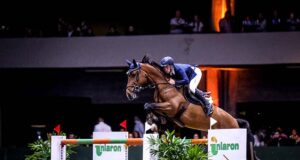 Brazilian national breed qualifies for FEI World Cup™ final
