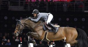 Verdi TN: Excellence in both sport and breeding