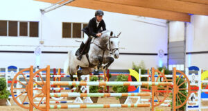 Holsteiner Verband stallion presentation goes online: February 5