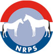 Naqueen tops NRPS stallion test