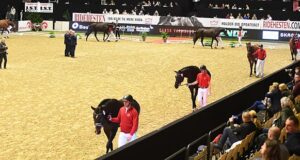 Europe’s top will travel to Herning for the DWB Stallion Show