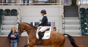 AES mare Stolen Secret wins prestigious breeding award