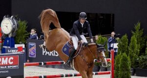 Influential sires Chacco-Blue and Diamant de Semilly for Z
