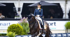 Remarkable surprises during KWPN Stallion Show