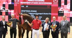 The show must go on: DWB stallion licensing back for 2022