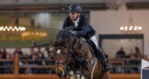 AES stallions convince at Belgian stallion competition