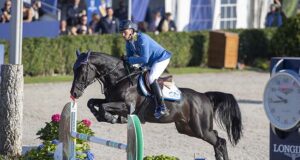 Zangersheide offers sires with great future prospects