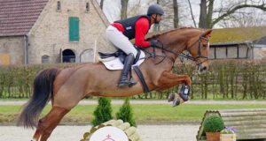 Successful pilot project for Westfalian eventing horses