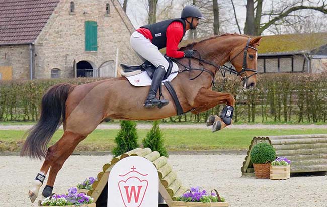 Successful pilot project for Westfalian eventing horses