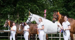 JongKWPN will host 2022 International Young Breeders