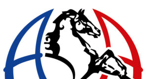 What is the future of the AA horse?