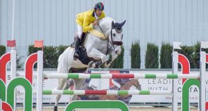 Brazilian-bred sport horses: Gifts to the jumping world