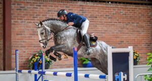 Anglo European Studbook: Spring stallion gradings