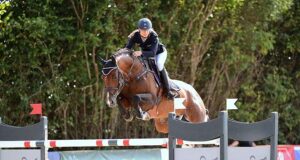 Uriko (Holst): Already a top sire at the tender age of 15