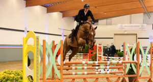 May 1: Young stallions of the Holsteiner Verband – ‘live’