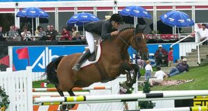Third phase of BWP stallion expertise approves 44
