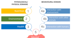 How to assess welfare using ‘The 5 Domains Model’