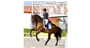 Olympic Lusitano Equador passes