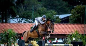 International GP podium for four Brazilian Sport Horses