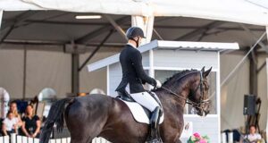Dressage sport and breeding growing in Central Europe