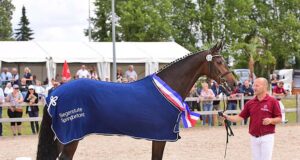 Melypsa and My Romanciera top Holsteiner age groups