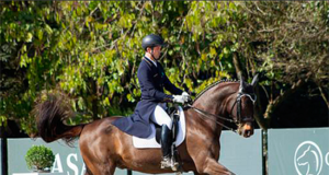Brazilian Sport Horse success rate improving exponentially