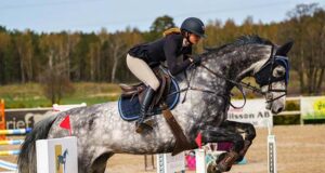 ELiTH horses: Thim sisters continue grandfather’s legacy