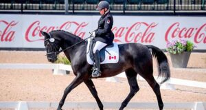 Para dressage needs horses that are “sensitive but safe…”