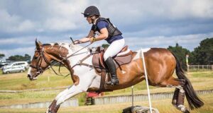 NZ 3DE champions: Good blood, interesting ancestors