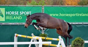 The Thoroughbred mare factor in sport horse bloodlines