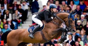 Popular Chacco-Blue genes for broodmares and embryos