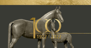 Hannoveraner Verband: 100 years young today…