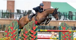 The entries are ‘in’ for Herning 2022 World Championships