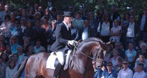 Who are the ‘hot’ stallions right now in dressage breeding?