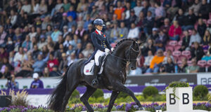 Two stallions on the Freestyle podium in Herning