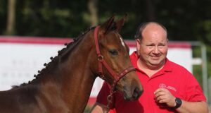 Limburg Breeding Day sees a good range of quality