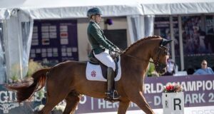 Celebrating very special WC para dressage horses