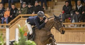 SWB Elite Foal auctions offer future top-sport ambassadors