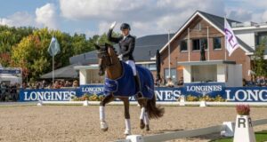 Last is best: Fashion Prinz wins opening 5yo class at WBCYH, Ermelo